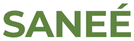 sanee.com.mx